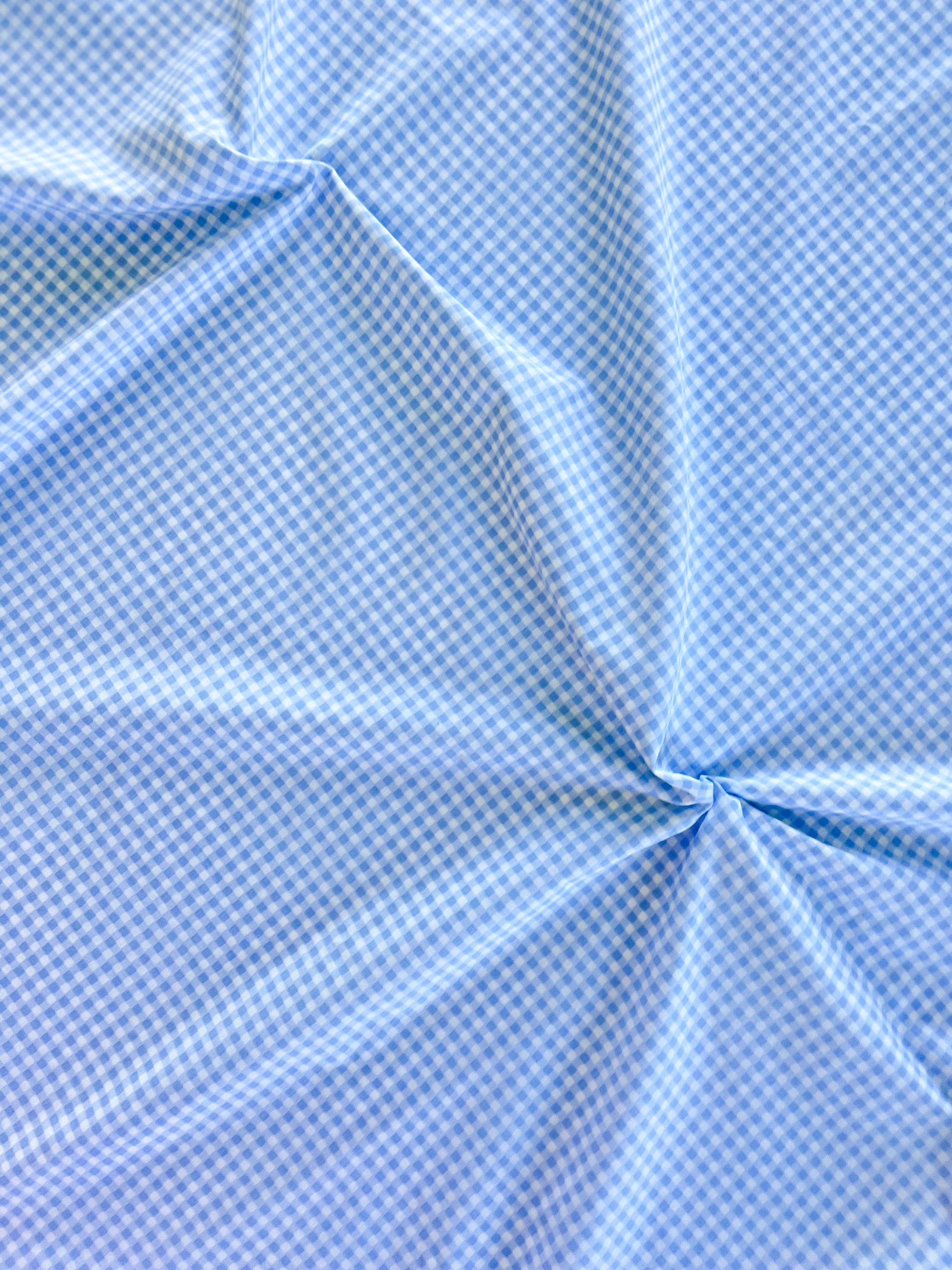 PALE BLUE VINTAGE GINGHAM