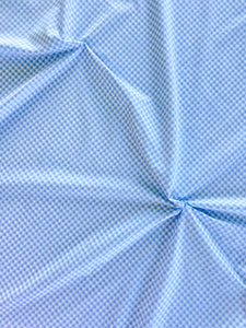 PALE BLUE VINTAGE GINGHAM