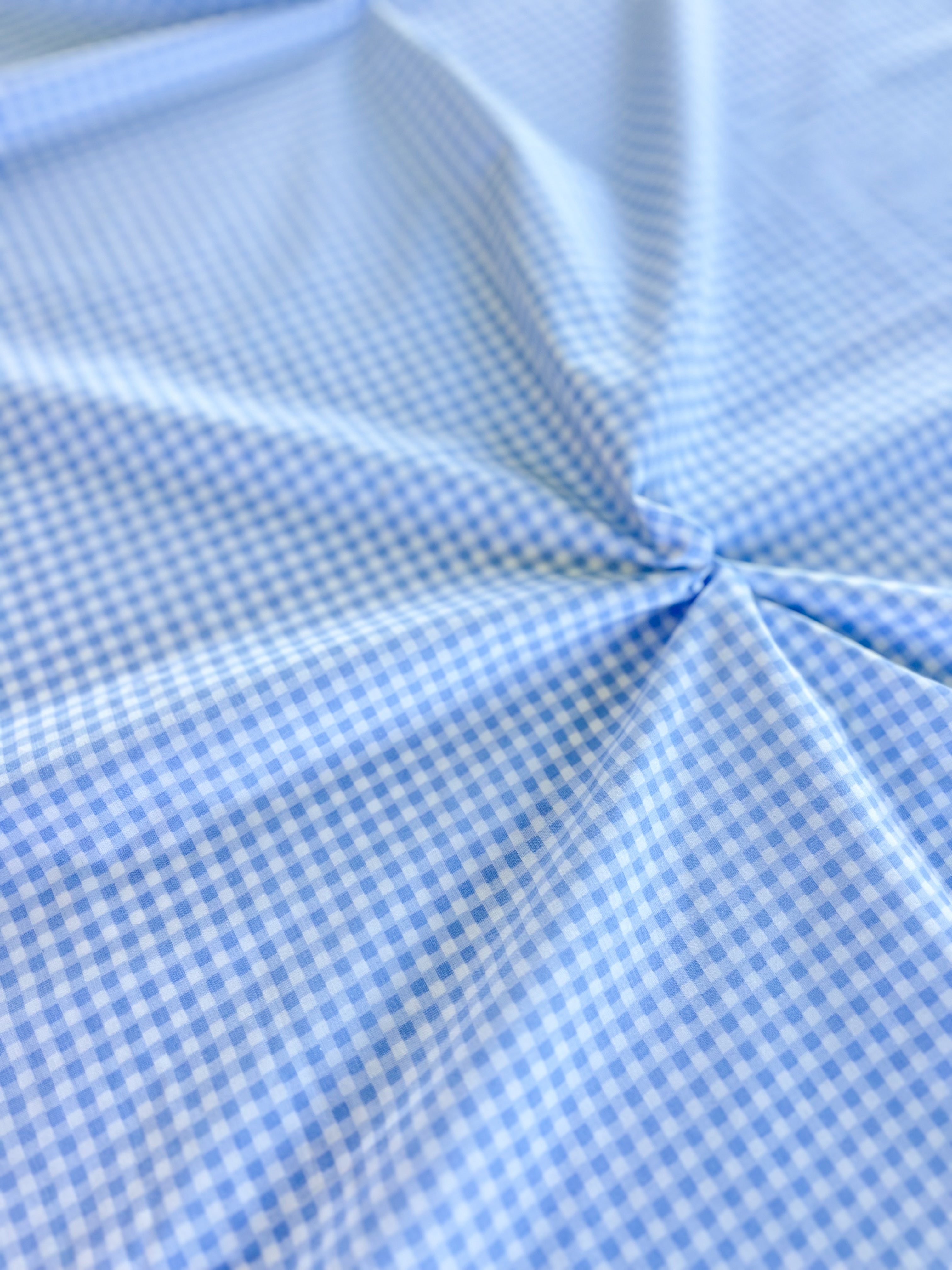PALE BLUE VINTAGE GINGHAM