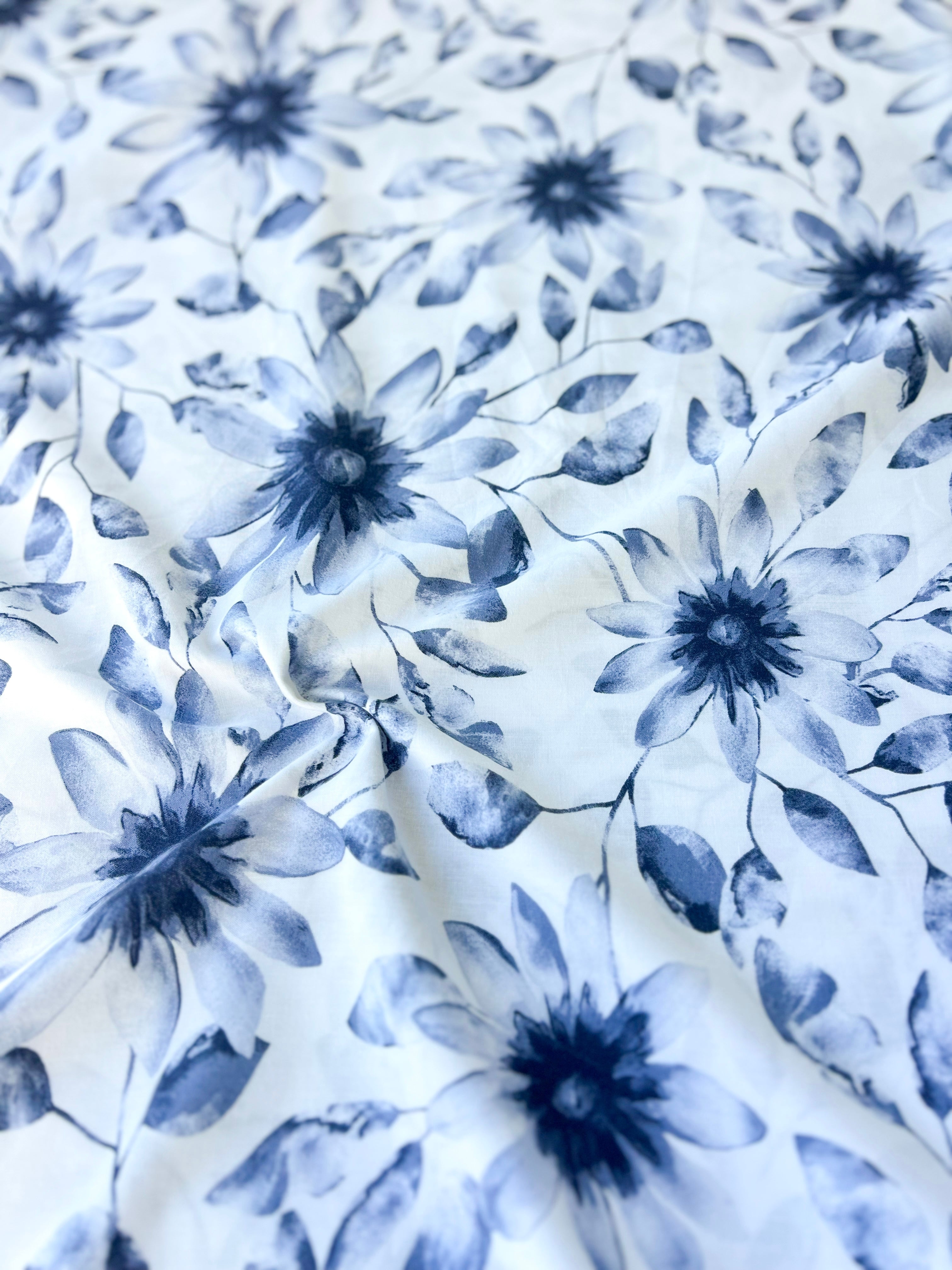 BLUE DAISY