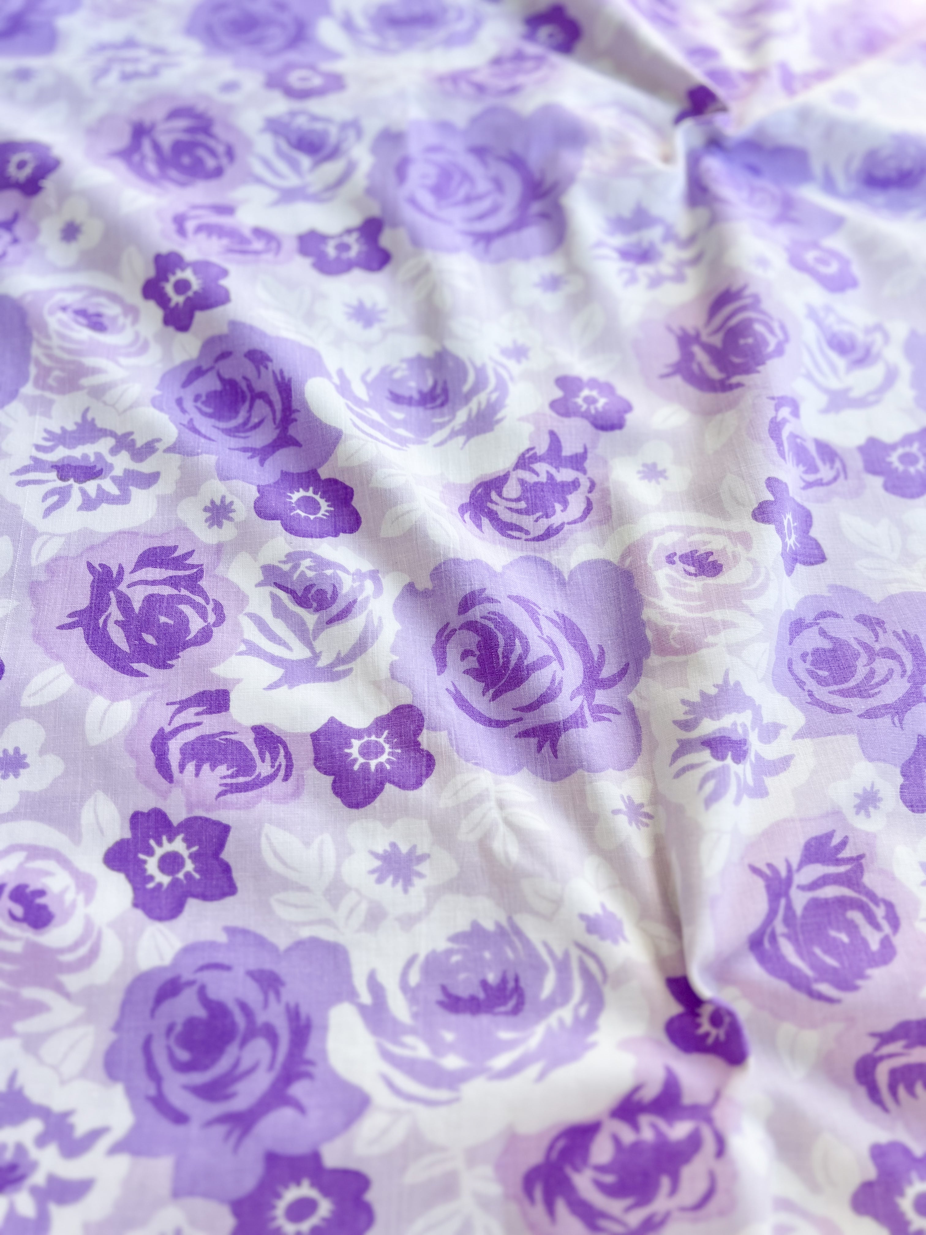 RETRO LILAC ROSE